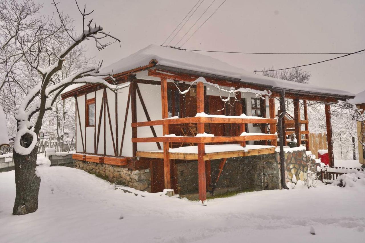 Apartament Mitrovic Boljevac Zewnętrze zdjęcie