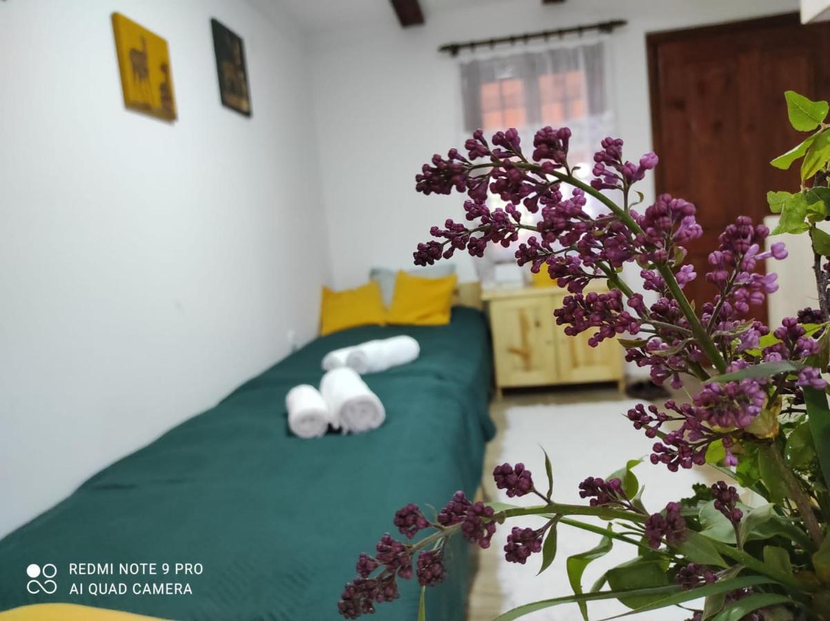 Apartament Mitrovic Boljevac Zewnętrze zdjęcie