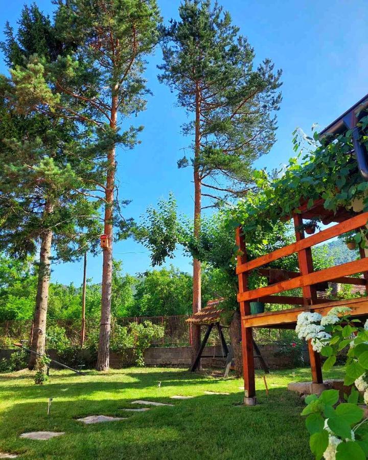 Apartament Mitrovic Boljevac Zewnętrze zdjęcie