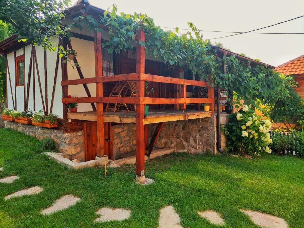 Apartament Mitrovic Boljevac Zewnętrze zdjęcie
