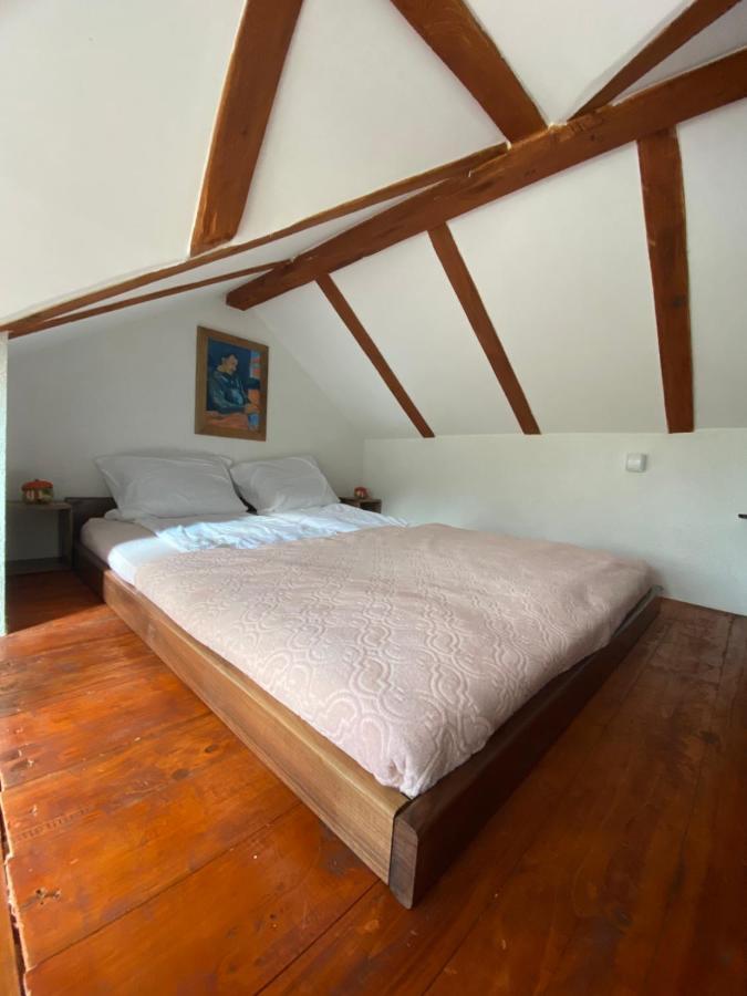 Apartament Mitrovic Boljevac Zewnętrze zdjęcie